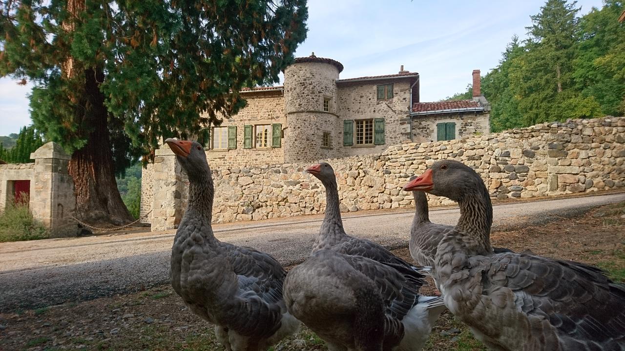 Chateau De Durianne Le Monteil  Exterior foto